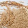 Rice Bran